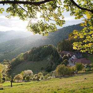 Logis Auberge Du Mehrbachel - Hotel & Restaurant